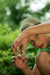 Cute-boy-playing-with-frog