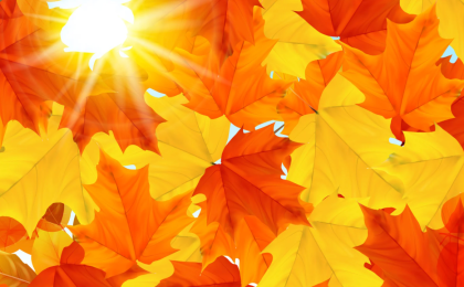 autumn leaves, thanksgiving, grateful together