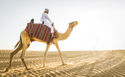 destiny is not just about where you are going, man riding a camel