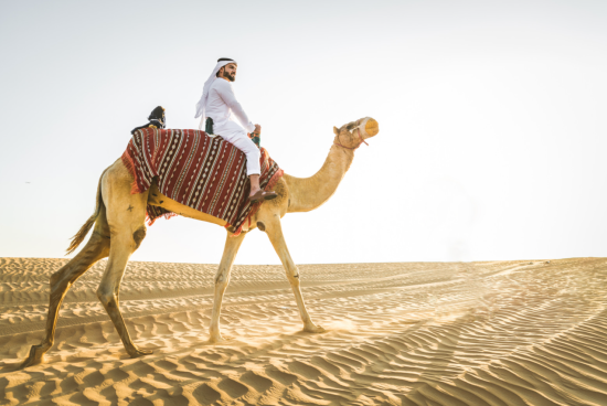 destiny is not just about where you are going, man riding a camel