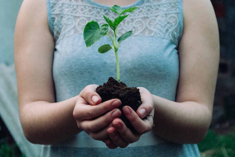 Is dirt a dirty word? Girl holding a handful of dirt with a plant in it.